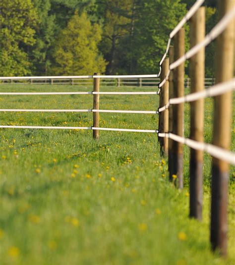 Checklist For A Successful Electric Fence Installation