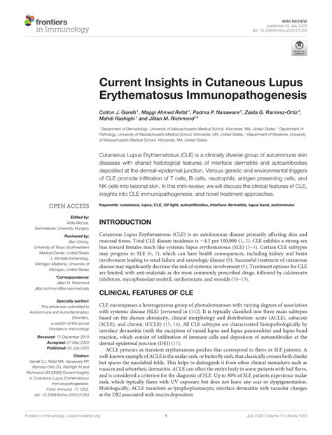 Pdf Current Insights In Cutaneous Lupus Erythematosus Immunopathogenesis