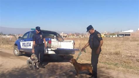 La Policía secuestró dos perros pitbull que mataron a un caniche en