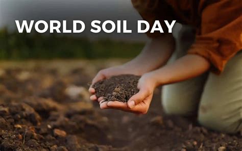 World Soil Day Theme 2024 India - Sibyl Kristien