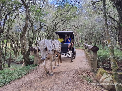 Moinho Velho Passeio Charrete Blog Pelas Estradas De Minas