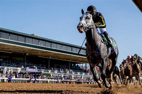 $20 million Saudi Cup dominates weekend horse racing - UPI.com