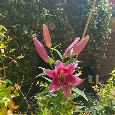 This Is What Happens When The D Goes In The Wrong Hole Sex