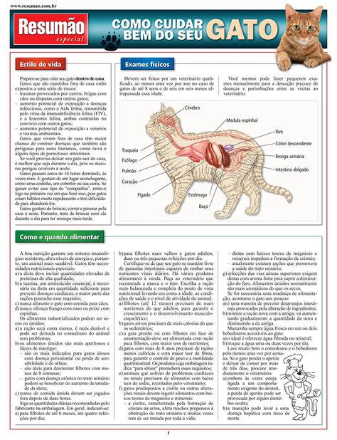 Como Cuidar Bem do Seu Gato PDF Vários Autores