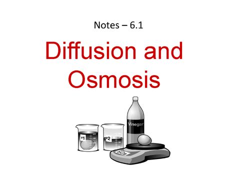 Osmosis Vs Diffusion Ppt Factory Stores Gbu Presnenskij Ru