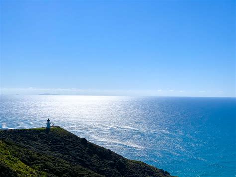 cape reinga  zealand  north travel local art