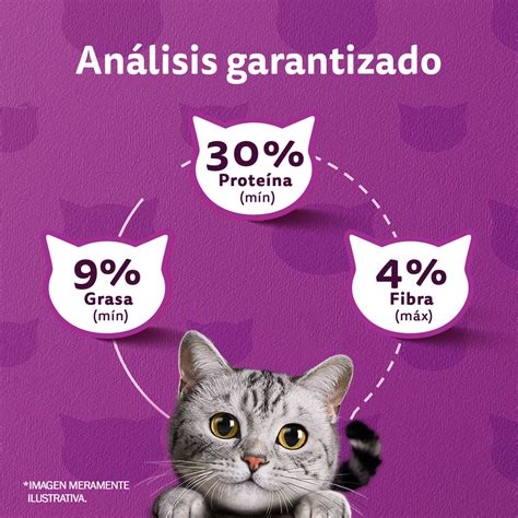 Whiskas Alimento Seco Para Gatos Mix De Prote Nas