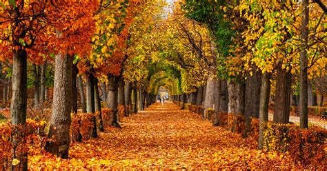 Budget Travel | Things to do in October 