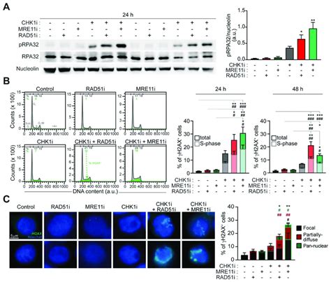 Combined Inhibition Of CHK1 And MRE11 Or CHK1 And RAD51 Induces