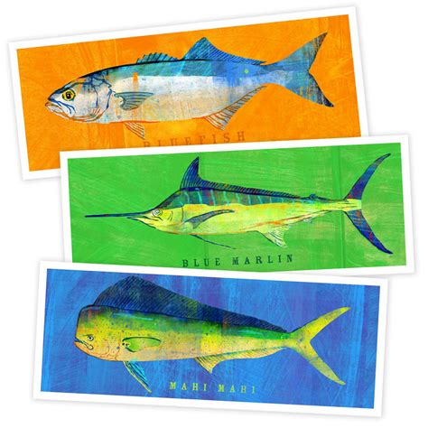 Fish Artwork 3 Medium Fish Pick 3 Prints 4 X 11 Saltwater Fish Art