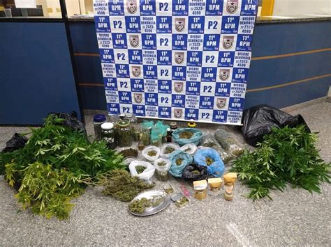 Pol Cia Estoura Mundo Verde Da Maconha Em Casa Em S O Pedro Da Serra