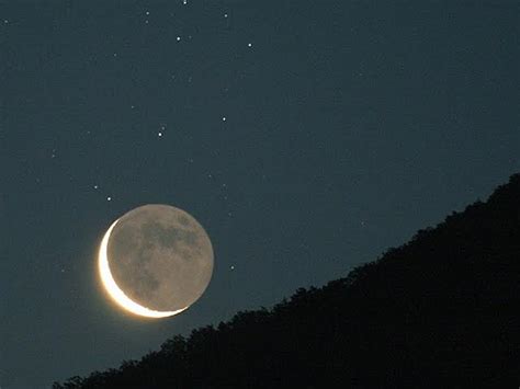 O Que Plantar Na Lua Nova Guia Das Suculentas