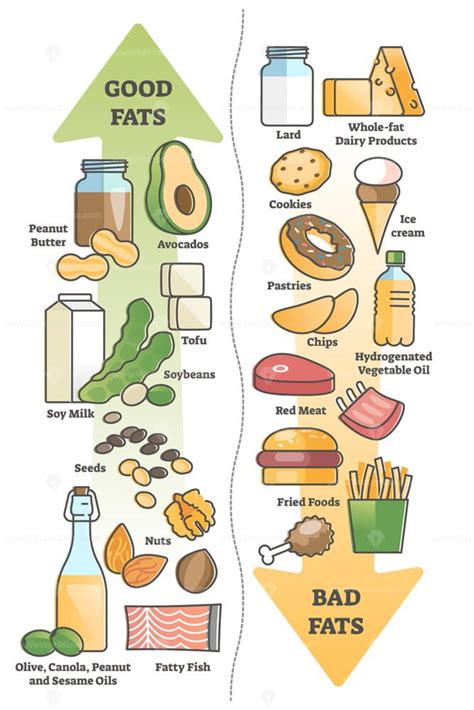 Good carbohydrates vs bad carbs as food example educational outline ...