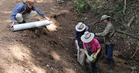 Zaytuna Farm Permaculture Courses And Events