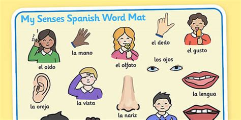 My Senses Ks1 Body Parts Word Mat Spanish Teacher Made