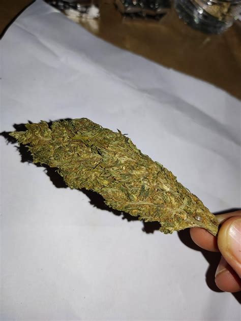 How Ganja Express 2 Revolutionizes the Art of Cannabis Consumption 1