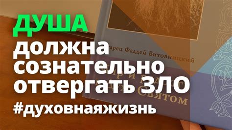 Душа должна сознательно отвергать зло. Фаддей Витовницкий. Мир и ...