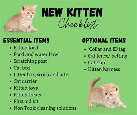 New Kitten Checklist 15 Things You Need Before Bringing Your Cute