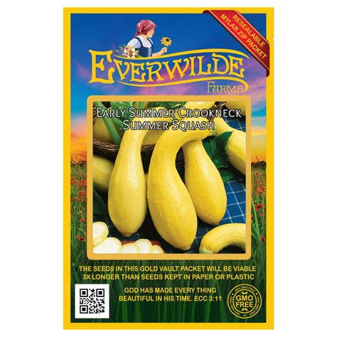 Everwilde Farms 40 Early Summer Crookneck Summer Squash Seeds Gold Vault Jumbo Bulk Seed