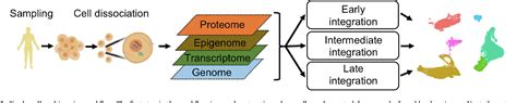 Computational Strategies For Single Cell Multi Omics Integration Semantic Scholar