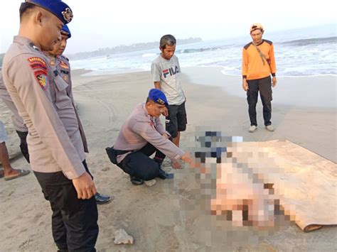 Polisi Ungkap Identitas Mayat Bule Di Pantai Anyer Korban Ternyata