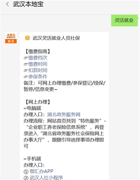 鄂汇办怎么交灵活就业人员社保？附缴费流程图解 知乎