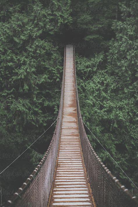 "Lynn Valley Suspension Bridge" by Stocksy Contributor "Luke Gram ...