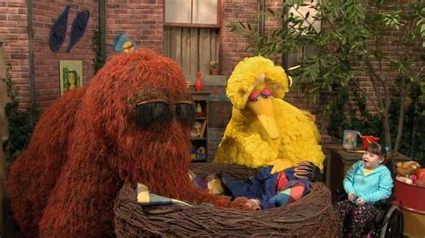 Big Bird, Snuffy - Sesame Street Episode 4413 Big Bird's Nest Sale