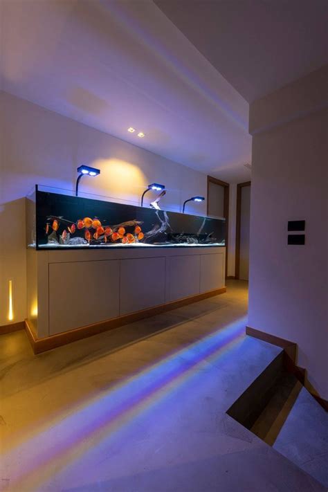 Aquarium Cabinet Wall Aquarium Custom Aquarium Saltwater Aquarium