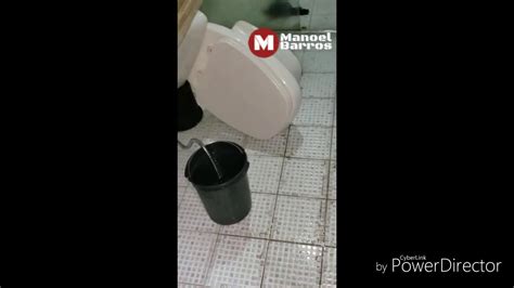 Sucuri entra no vaso sanitário YouTube