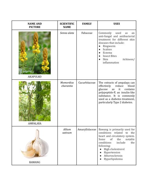 DOH 10 Halamang Gamot - NAME AND PICTURE SCIENTIFIC NAME FAMILY USES ...