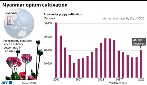 Myanmar Opium Farming Booming After Coup Un