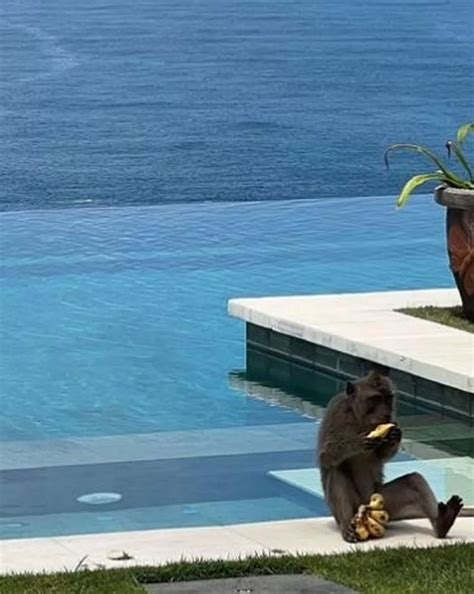 Influencer Tammy Hembrow Flaunts Toned Bikini Body On A Night Bali Retreat Daily Star