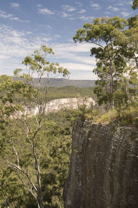 Carnarvon Gorge | Hiking, Wildlife & Aboriginal Art | Britannica