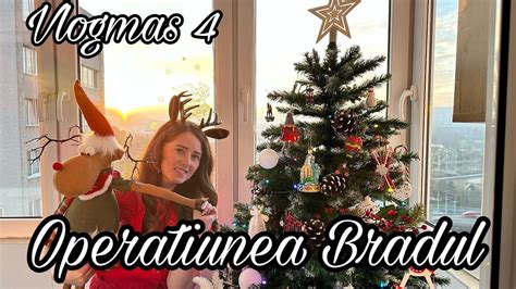 Vlogmas Mpodobim Bradul De Cr Ciun Youtube