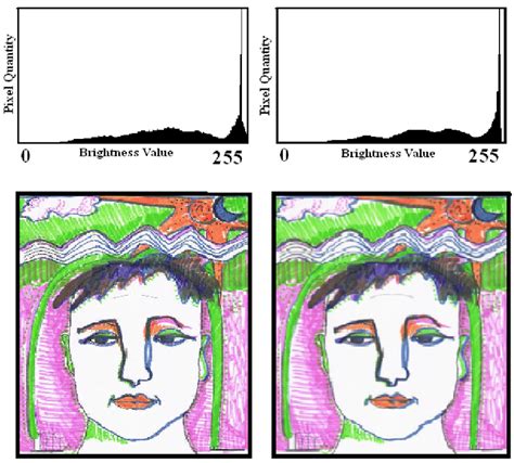 Brightness Histograms Before Left And After Right The Application