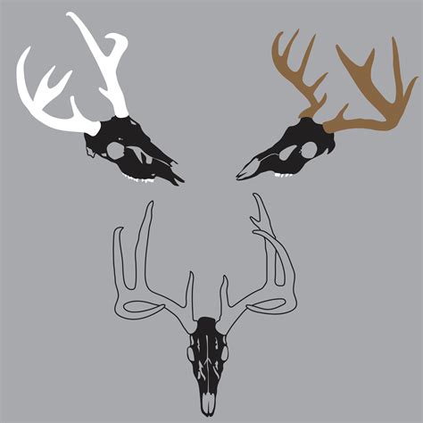 Deer Skull Vector 12676487 Vector Art At Vecteezy