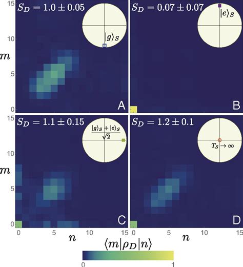 Observing A Quantum Maxwell Demon At Work Pnas