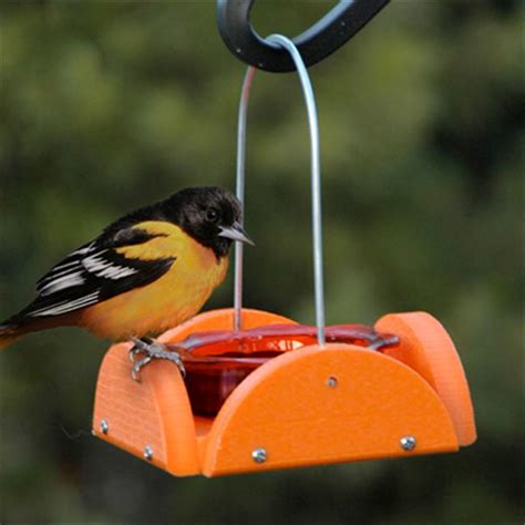 Woodlink Going Green Oriole Jelly Feeder Orange