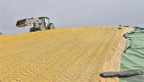 ESPECIAL Agronegócio está em ritmo de espera