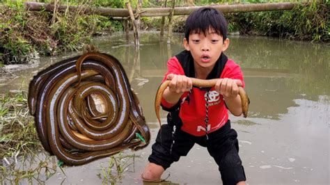 How To Make An Eel Trap Basket From Bamboo Use Stuffed Snails As Bait