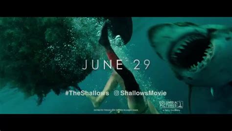 Poster and TV Spot of The Shallows, the shark attack movie starring ...