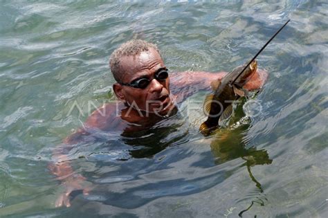 Menangkap Ikan Dengan Alat Tradisional Di Danau Sentani Antara Foto