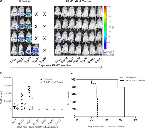 Skov 3gfp Luc Tumor Bearing Mice Show Complete Remission Of Tumor Upon