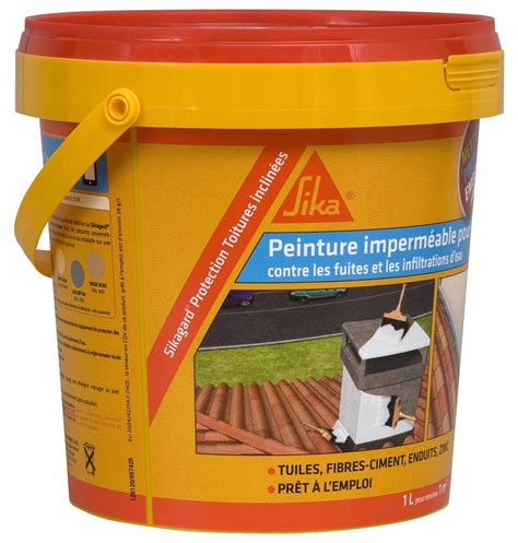 Peinture Sikagard Protection Toiture Inclin E Gris L Sika F