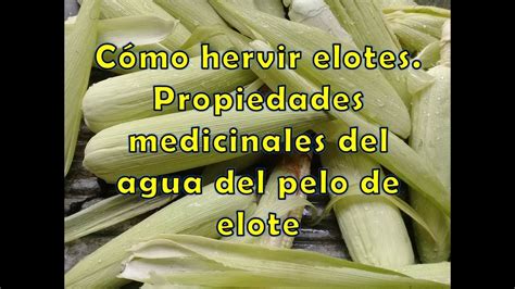 Aprender Acerca 66 Imagen Propiedades Del Elote Abzlocal Mx