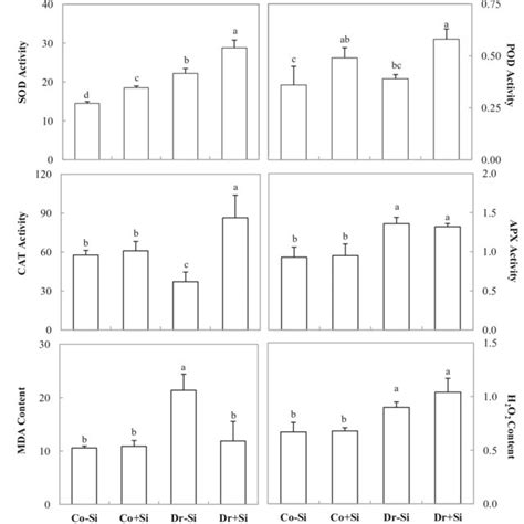 The Specific Activity Of Sod U Mg 1 Protein Pod µmol Mg 1 Protein