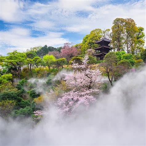 ホテル椿山荘東京「春のお花見ランチ＆ディナービュッフェ2024」椿と桜が同時に咲き誇る庭園を見ながら満喫 Ozmall