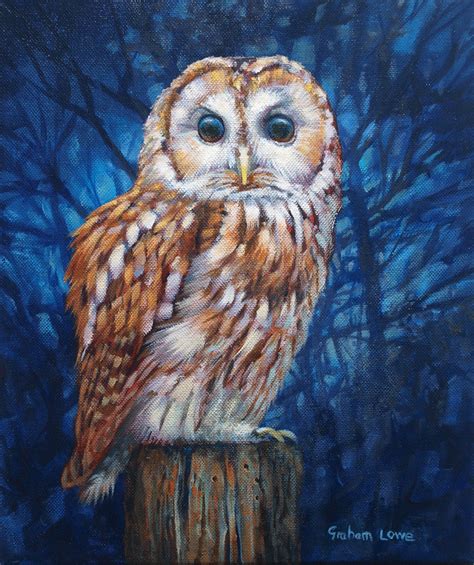 Acrylic Owl Painting Best Painting Collection