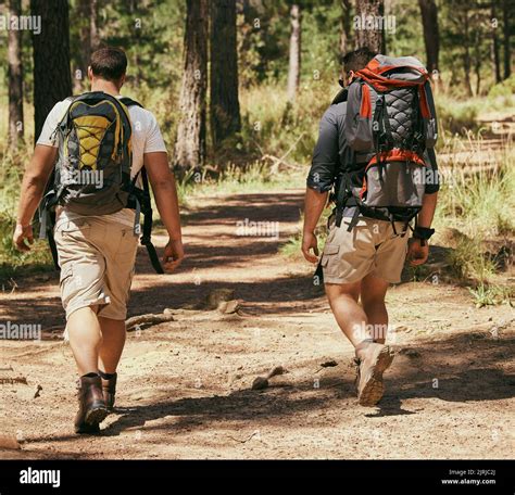 Backpacker Friends Explore Nature While Hiking In A Forest Together